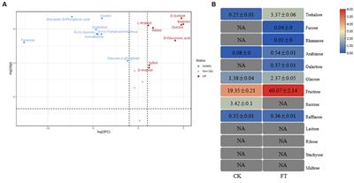 The carbohydrate metabolism and expression of carbohydrate-active enzyme genes in Aspergillus luchuensis fermentation of tea leaves
